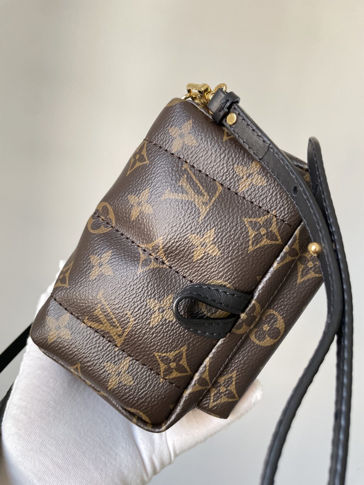 Louis Vuitton Palm Springs Mini Monogram Canvas Backpack Brown - Image 8