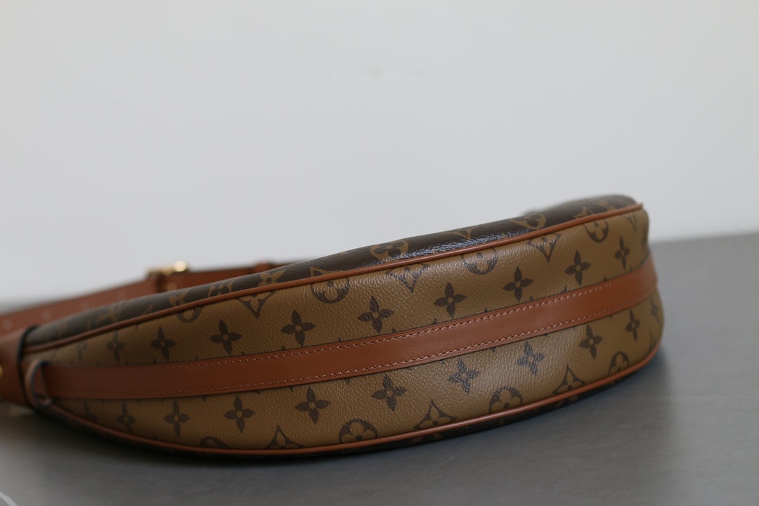 Louis Vuitton Loop Hobo Monogram Canvas Large Shoulder Bag Brown - Image 8