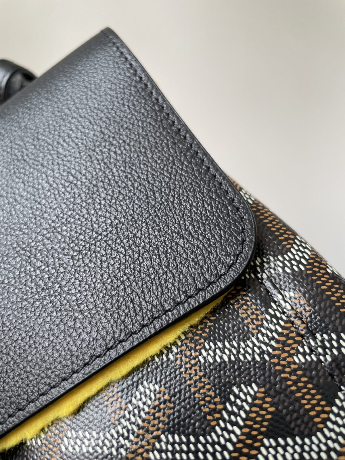 GOYARD Alpin Mini Canvas & Leather Backpack – Black - Image 4