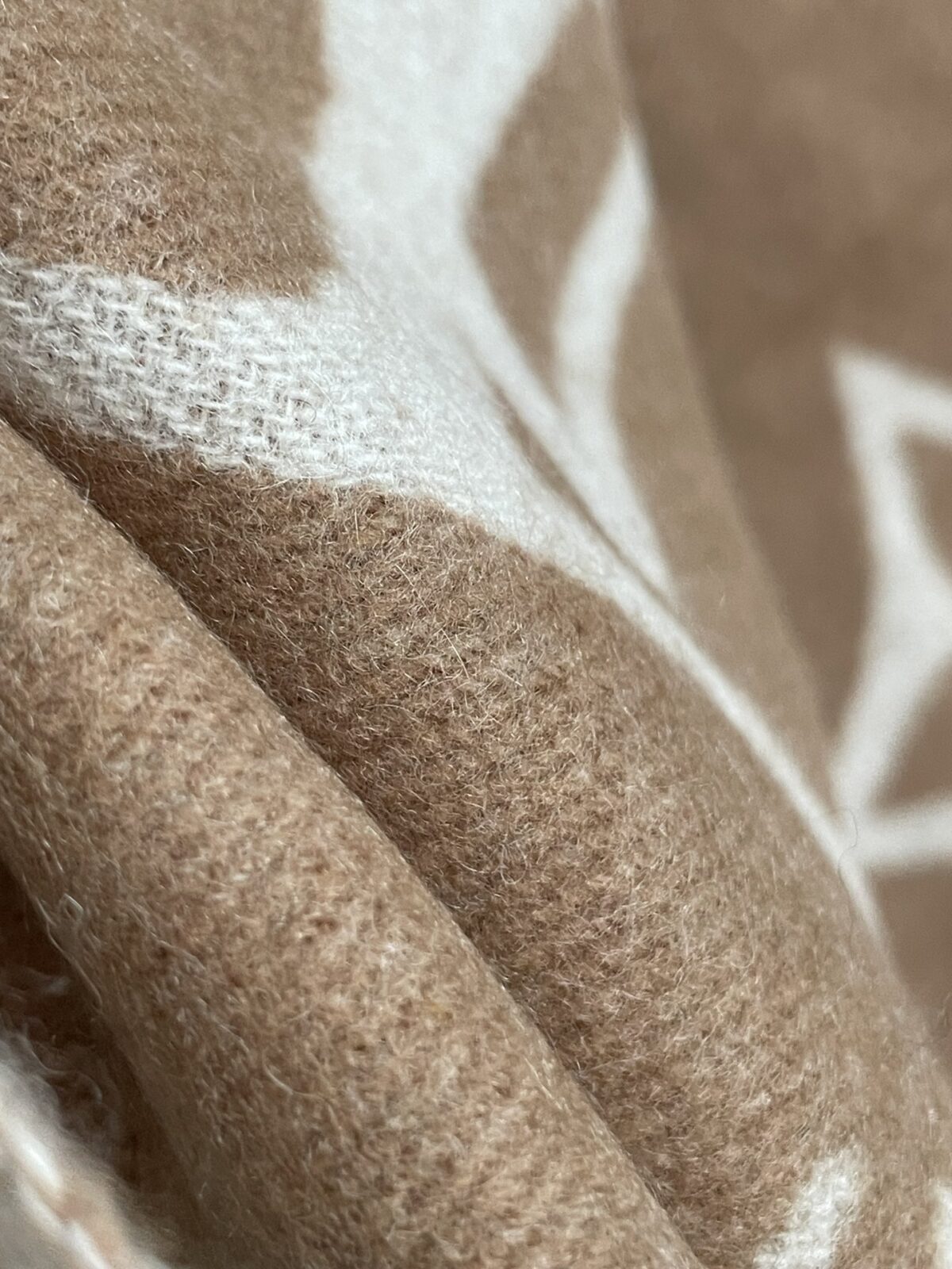 Louis Vuitton Jacquard Woven Cashmere Tassel Scarf Milk Tea - Image 8