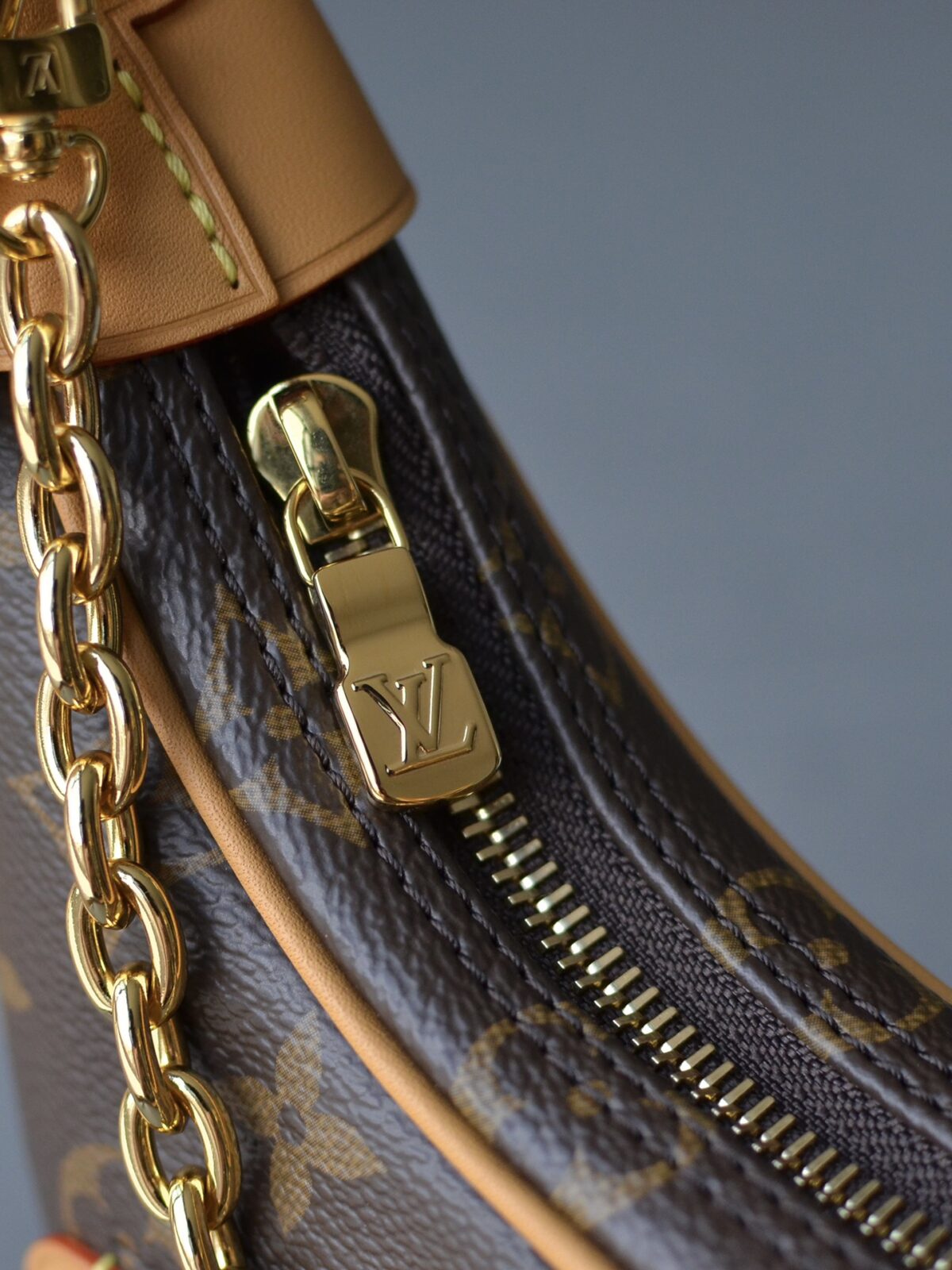 Louis Vuitton Loop Monogram Crescent Shoulder Bag Brown - Image 7