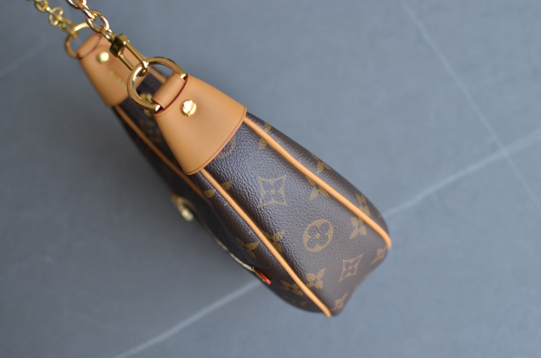 Louis Vuitton Loop Monogram Crescent Shoulder Bag Brown - Image 8