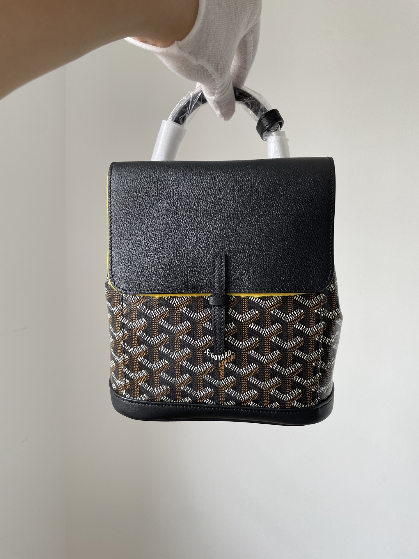 GOYARD Alpin Mini Canvas & Leather Backpack – Black - Image 2