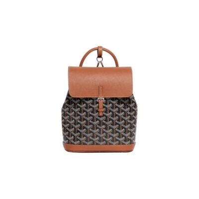 GOYARD Alpin Mini Canvas & Leather Backpack – Brown