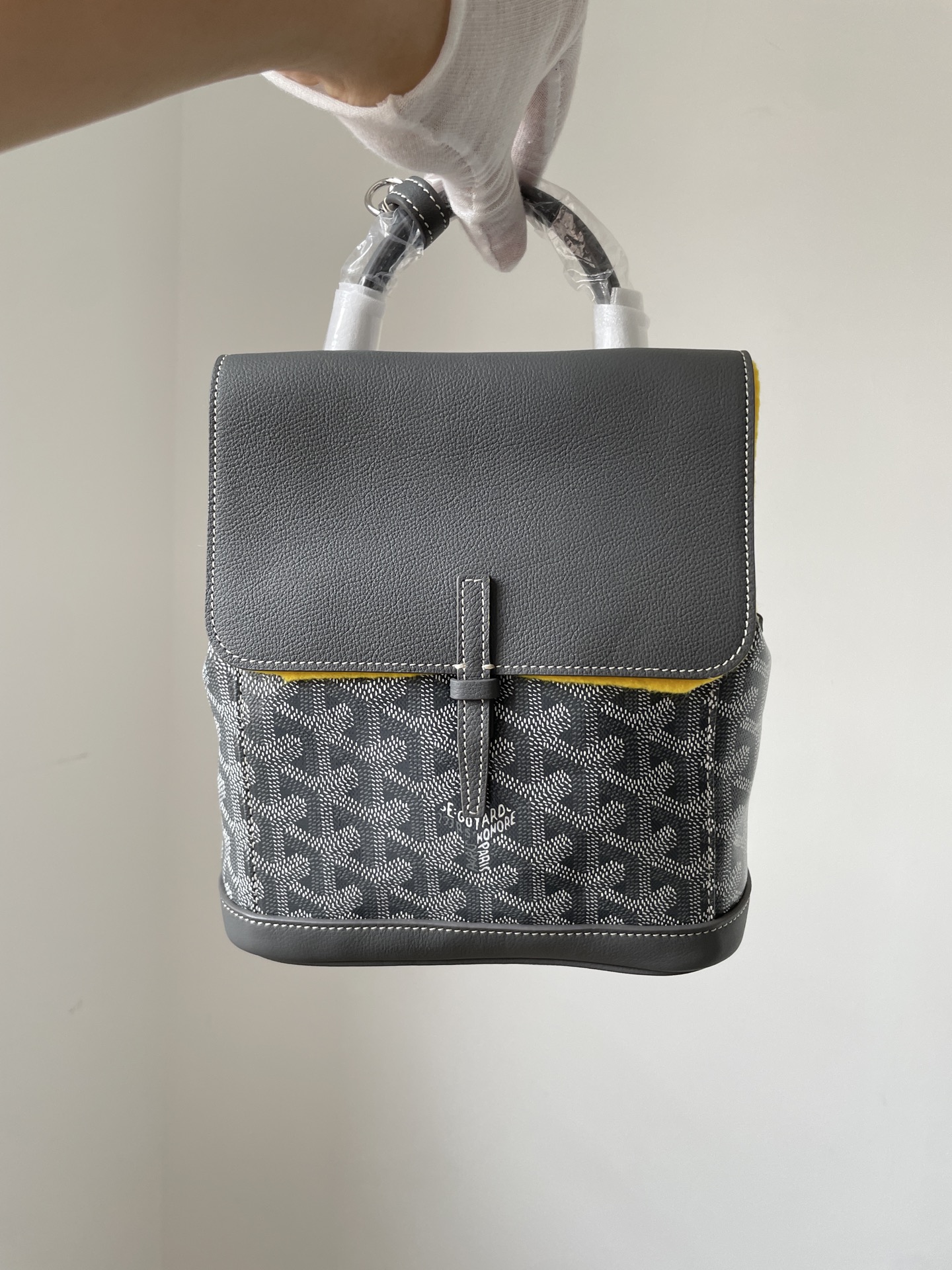 GOYARD Alpin Mini Canvas & Leather Backpack – Gray - Image 2