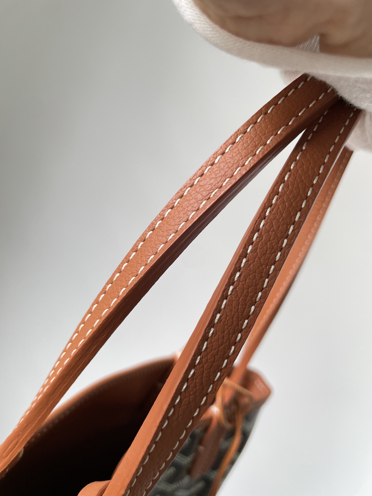 Goyard Anjou Mini Reversible Tote Bag with Y Pattern Coated Canvas and Leather Trim – Women - Image 6