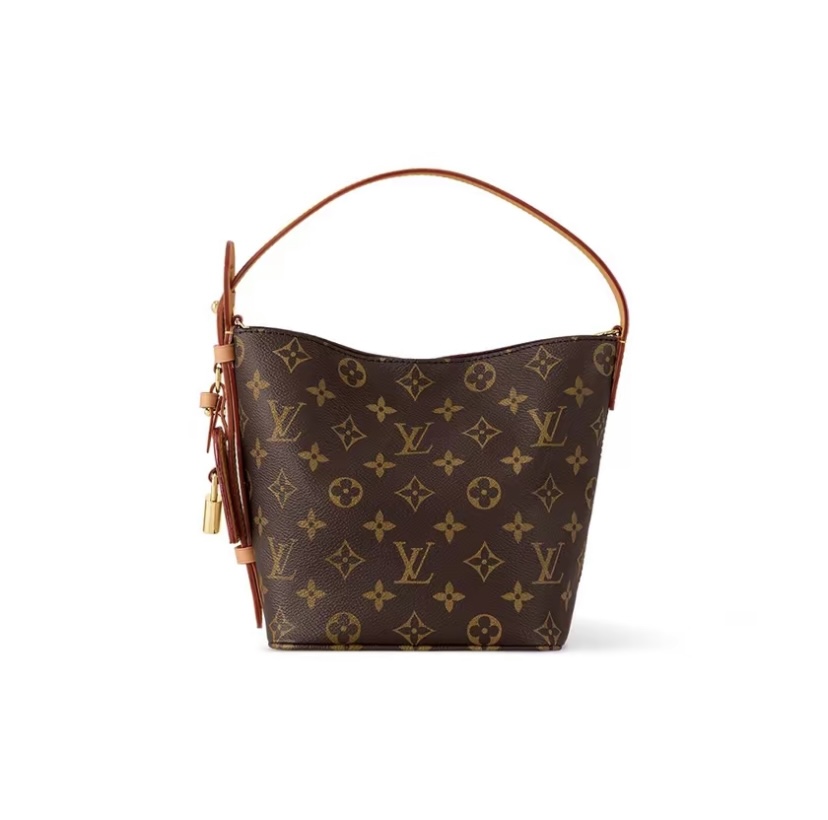 Louis Vuitton All In BB Monogram Canvas Tote Bag - Brown
