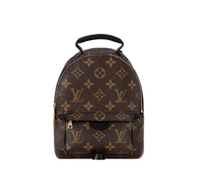 Louis Vuitton Palm Springs Mini Monogram Canvas Backpack Brown