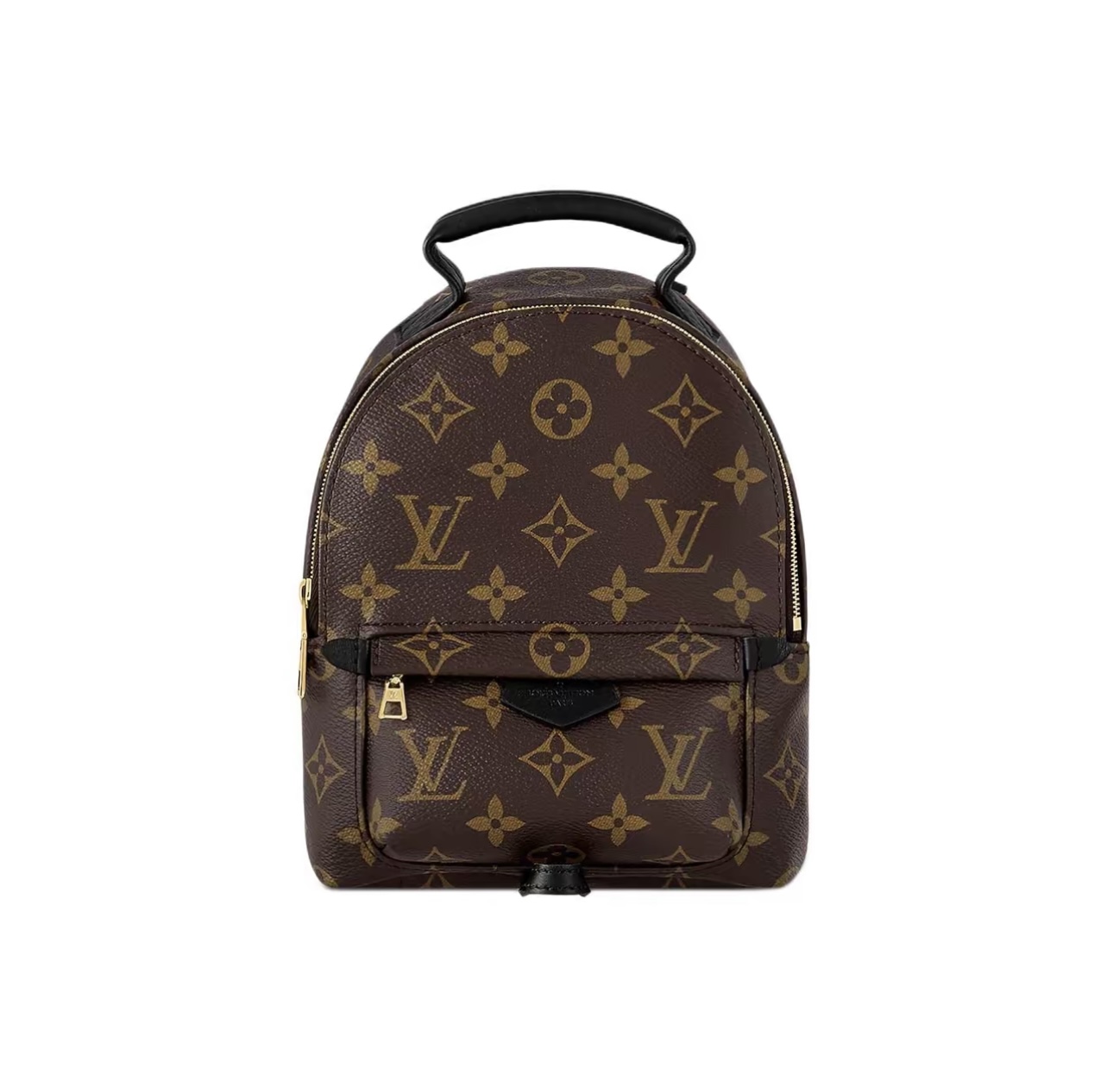 Louis Vuitton Palm Springs Mini Monogram Canvas Backpack Brown