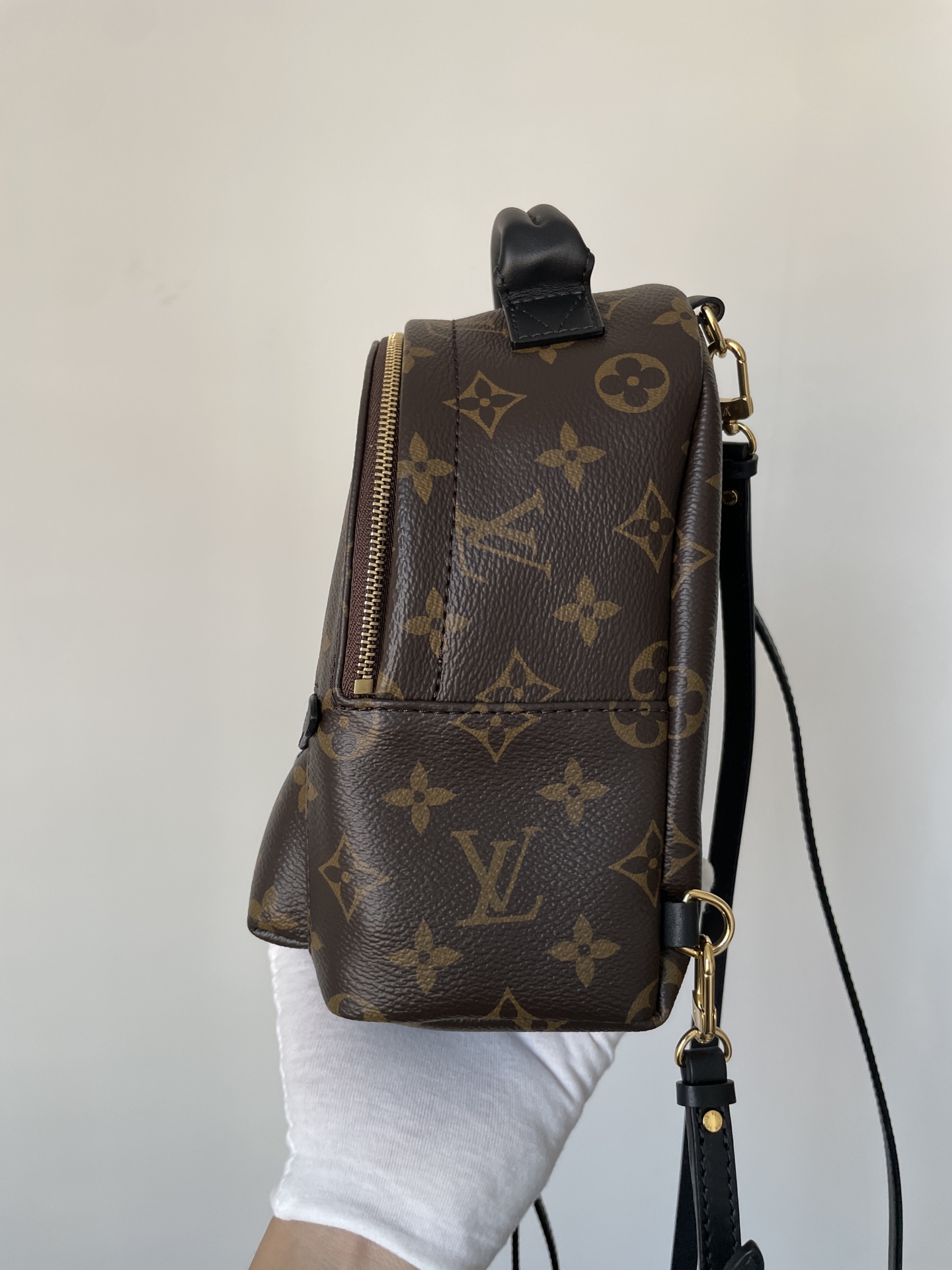 Louis Vuitton Palm Springs Mini Monogram Canvas Backpack Brown - Image 4