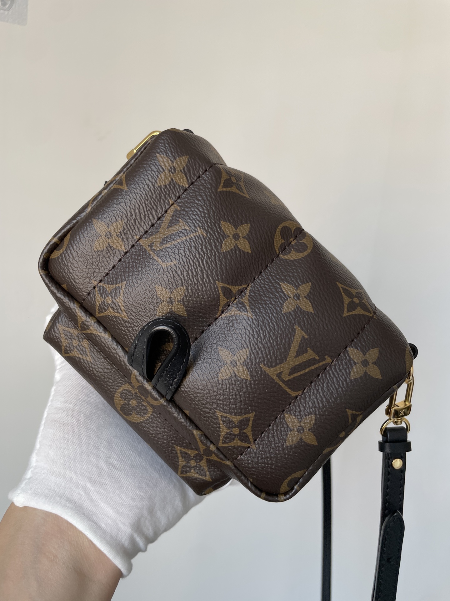 Louis Vuitton Palm Springs Mini Monogram Canvas Backpack Brown - Image 5