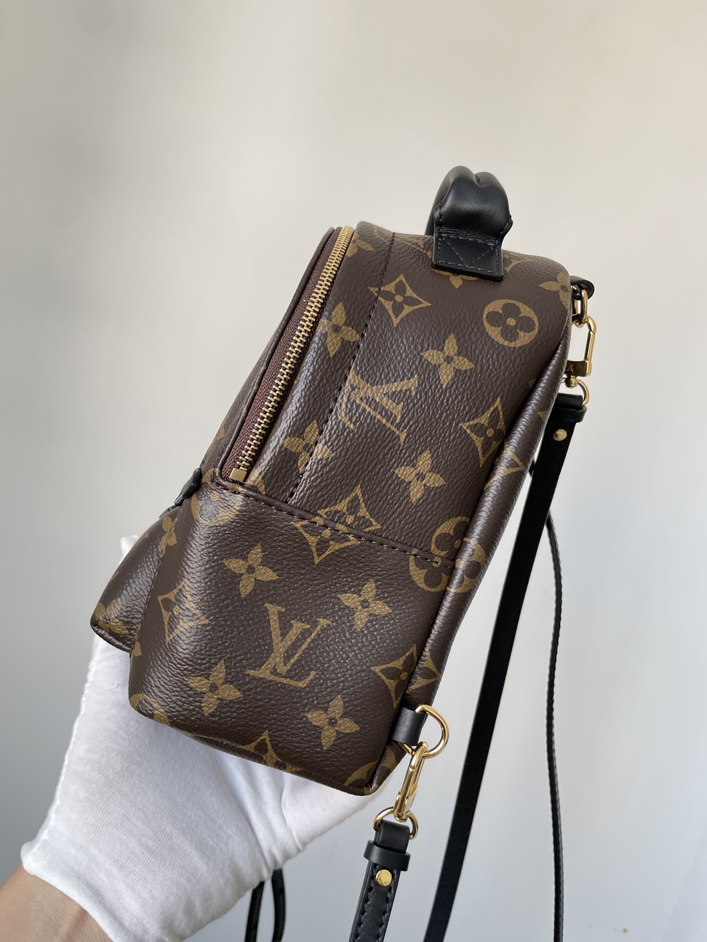 Louis Vuitton Palm Springs Mini Monogram Canvas Backpack Brown - Image 6